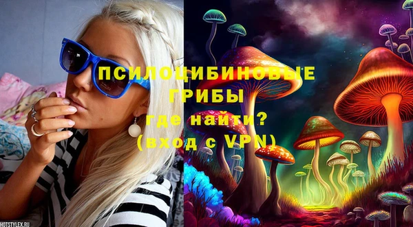 apvp Волосово