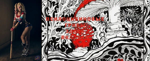 стафф Верея