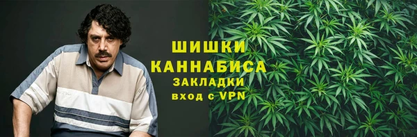 стафф Верея