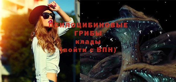 дмт Бронницы