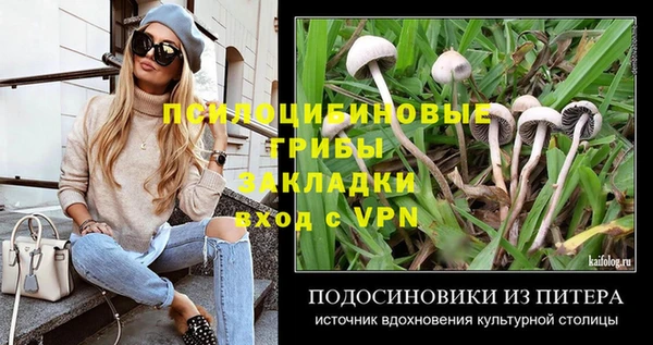 стафф Верея